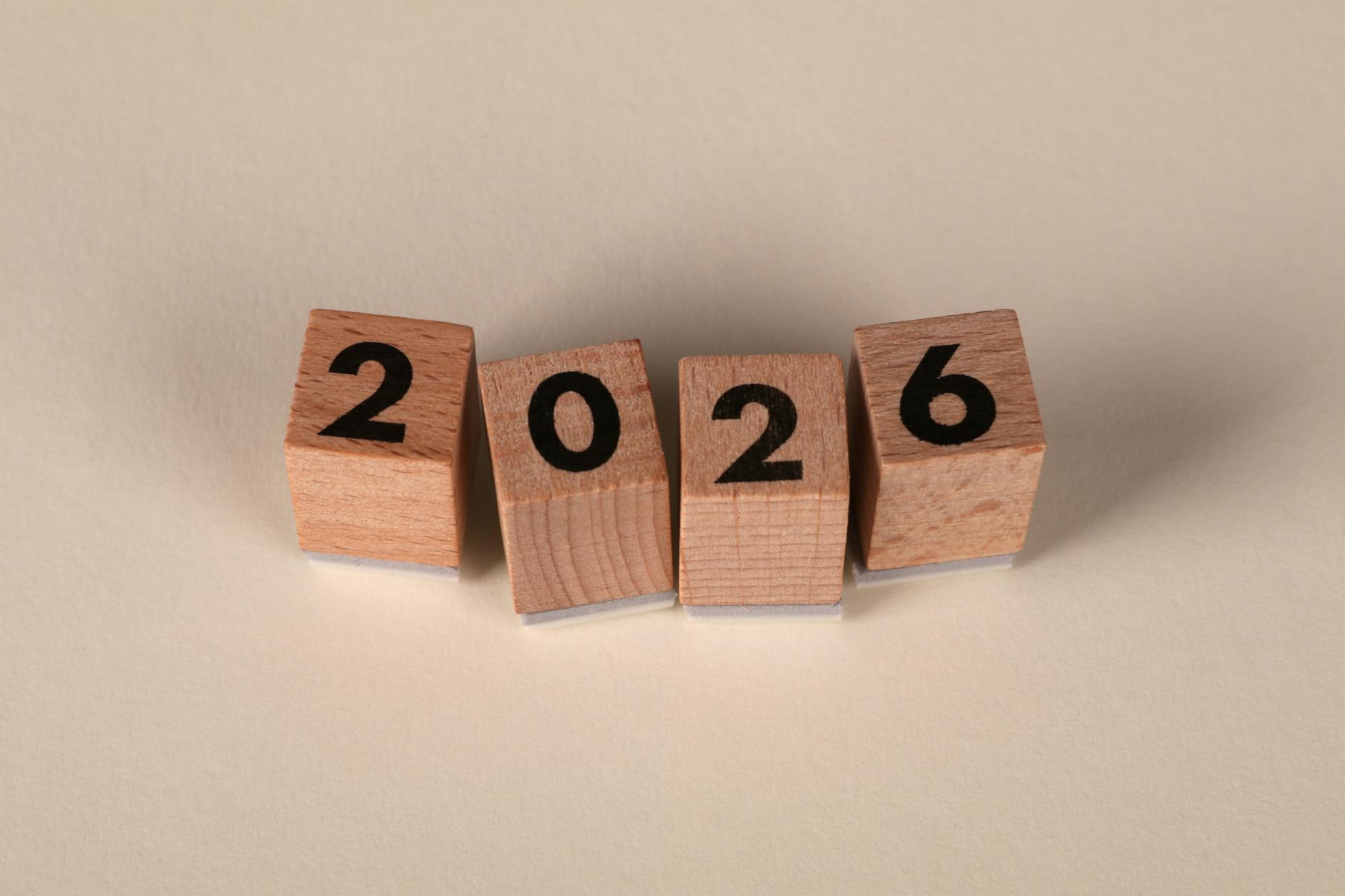 jasa pembuatan website terbaik 2026